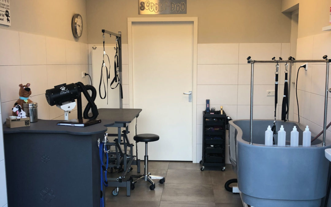 salon 2